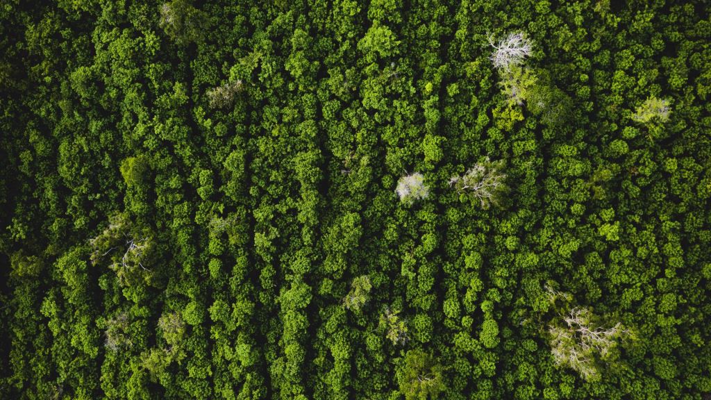 eco-gestes pour l'assainissement